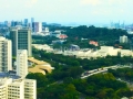 Greenery-view-from-The-Clement-Canopy