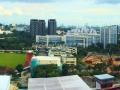 Panoramic-view-of-Clement-Canopy