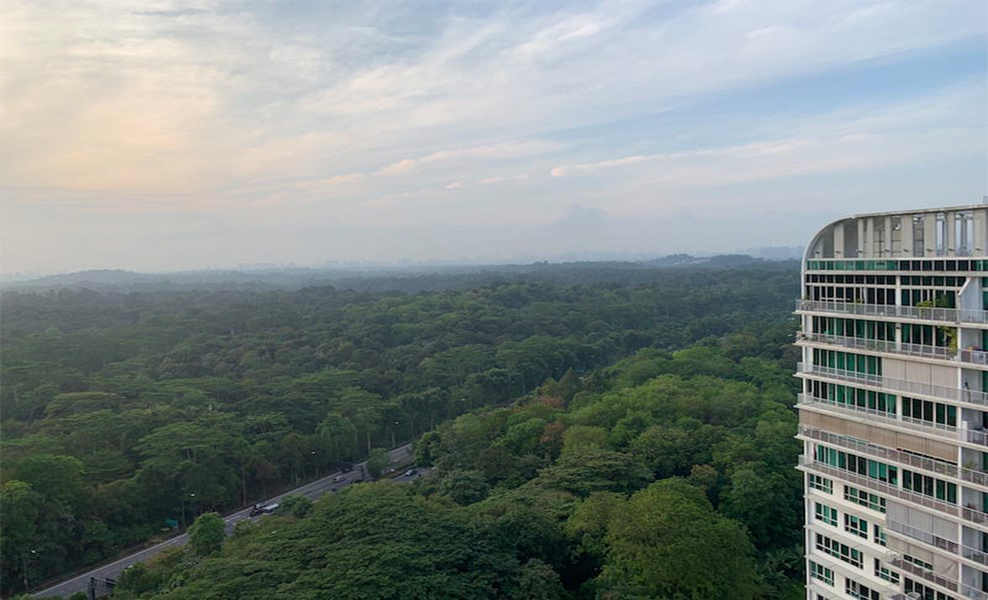 Dairy_Farm_Residences_Condo_Hillview_Bukit_Panjang_Potential_View_From_Top_Floor