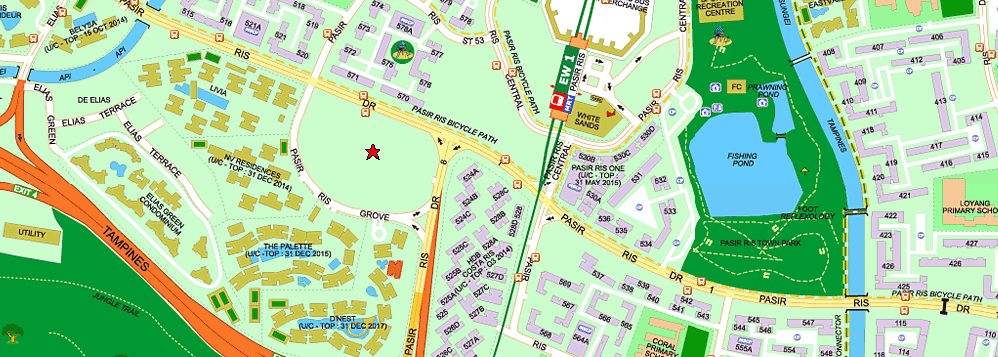 Coco Palms @ Pasir Ris Grove Location