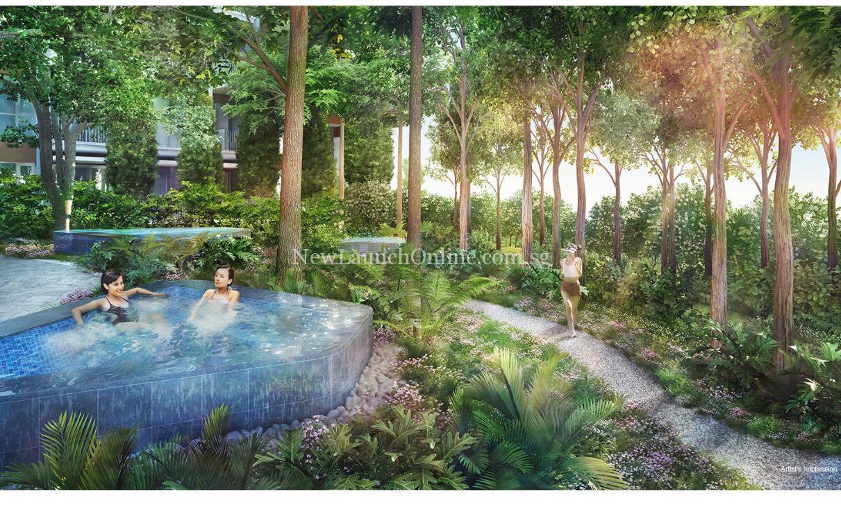forest-woods-spa-pool