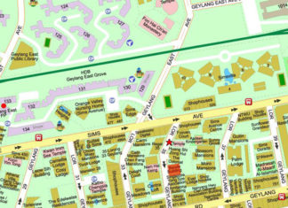 Geylang Lor 35 showflat