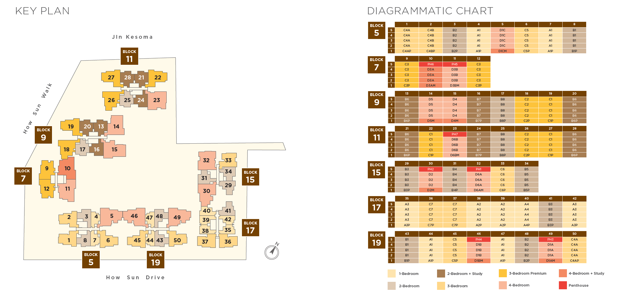 The Gazania key plan and diagrammatic chart