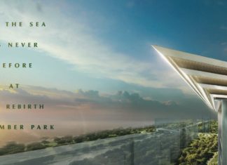 The Rebirth of Amber Park